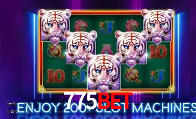 Descubra a Essência do 775bet: Nossa História e Compromissos